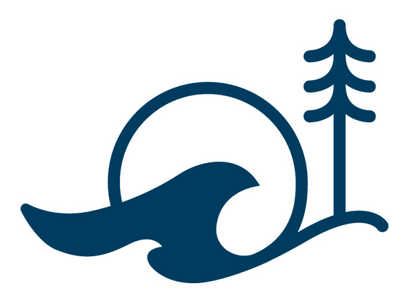 path and wave and sunrise at base of evergreen